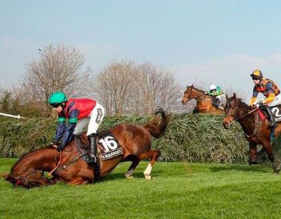 Horses fall during 2015 Grand National