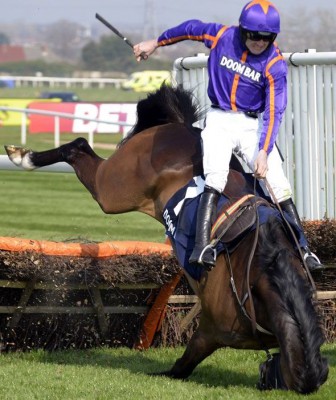 Horse takes a tumble at Aintree
